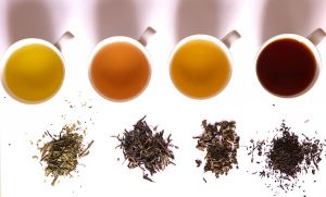 1280px-Tea_in_different_grade_of_fermentation